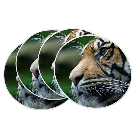 GL17b Glass Coaster