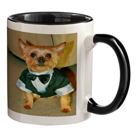 M-003 White Mug Coloured Interior and Handle