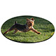 MP4 Round Mouse Pad