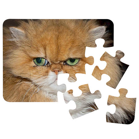 PL-PU0 12 Piece Polymer Puzzle