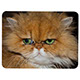 PL-PU0 12 Piece Polymer Puzzle