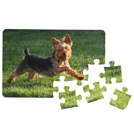 PL-PU1 24 Piece Polymer Puzzle