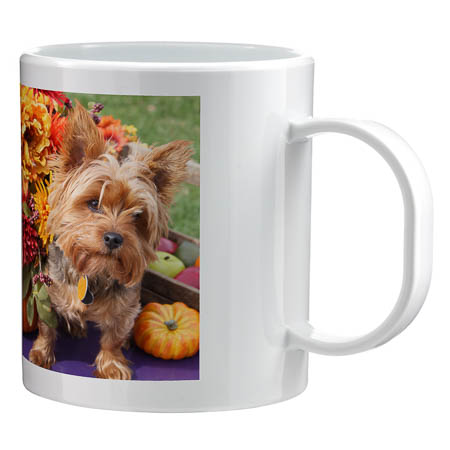 PL11M Plastic Mug
