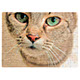 PU1 80 Piece A5 Puzzle PU1 80 Piece A5 Puzzle