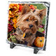 SH-25 Medium Square Rock Photo SH-25 Medium Square Rock Photo